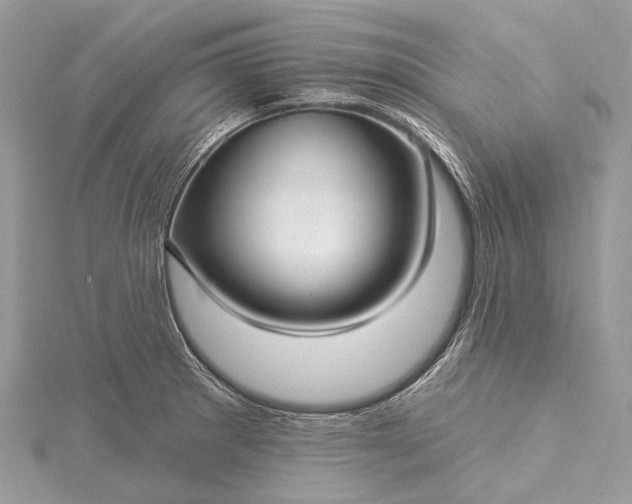 X0000115531281200911201712