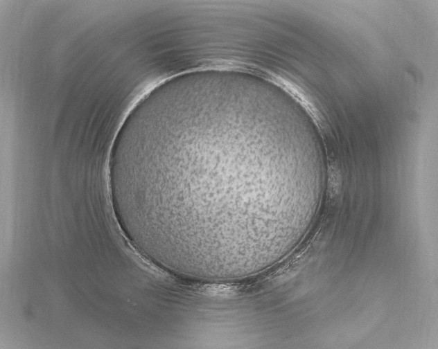 X0000115531283200911201712