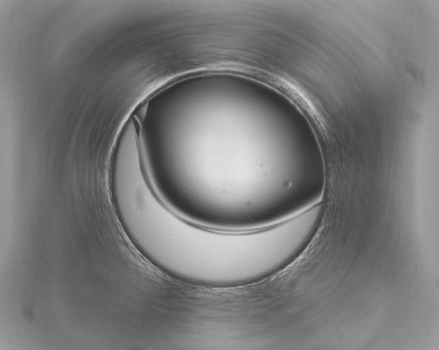 X0000115531284200911201712