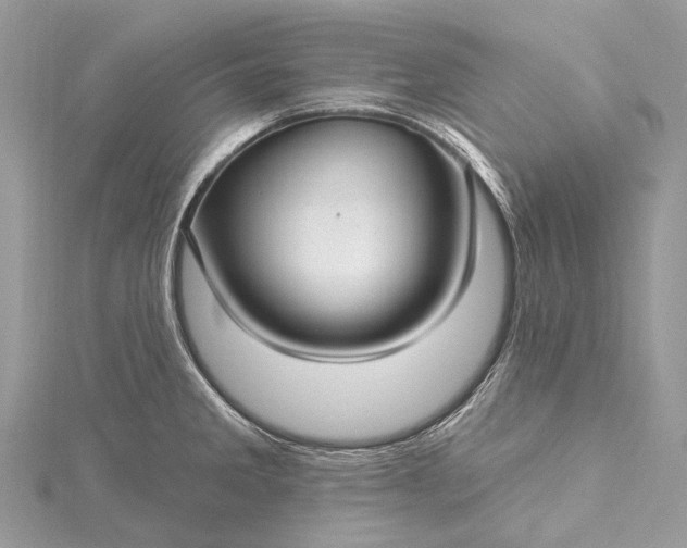 X0000115531285200911201712