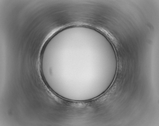 X0000115531286200911201712