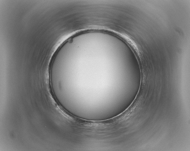 X0000115531287200911201712