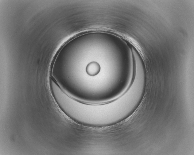 X0000115531288200911201712