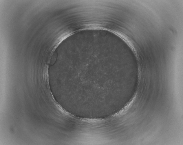 X0000115531289200911201712