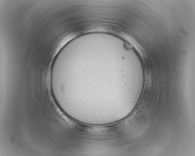 X0000115531290200911201712