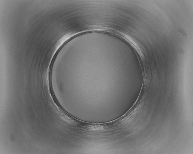 X0000115531291200911201712