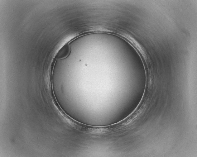 X0000115531293200911201712