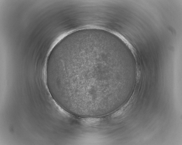 X0000115531294200911201712