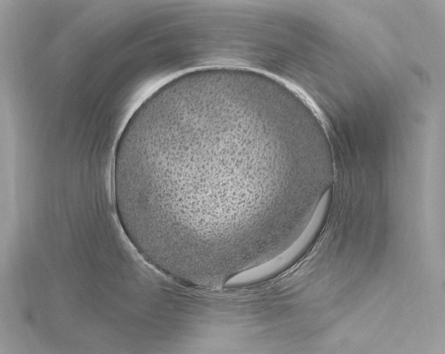 X0000115531295200911201712