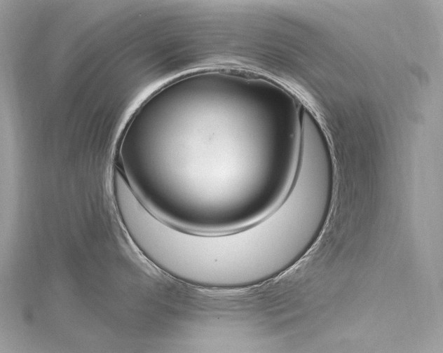 X0000115531296200911201712