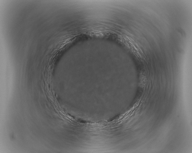 X0000115531297200911201711