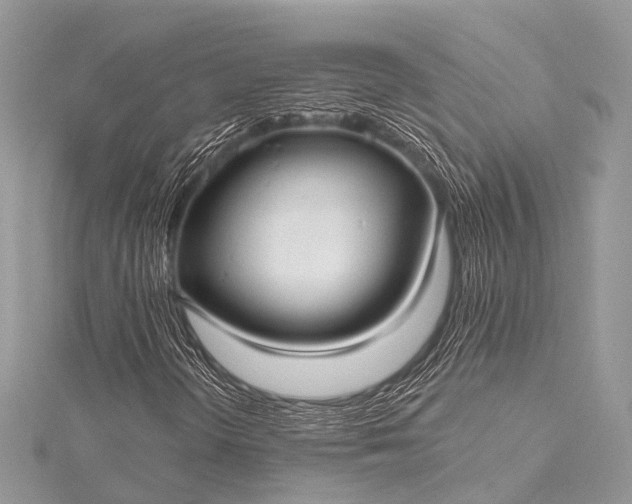 X0000115531298200911201711