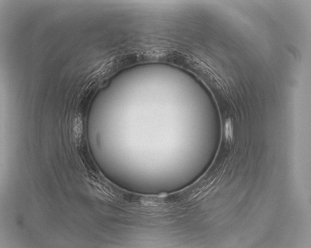 X0000115531299200911201711