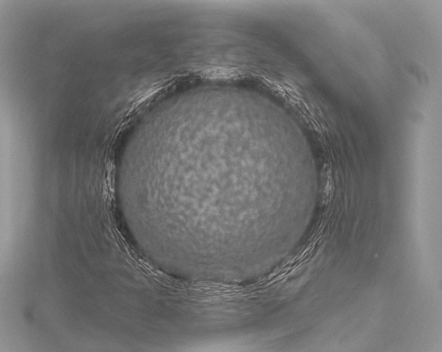 X0000115531301200911201711