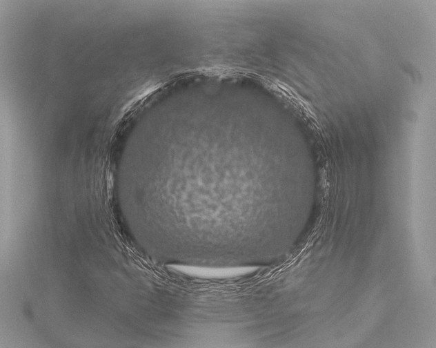 X0000115531302200911201711