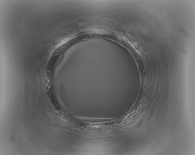 X0000115531303200911201711