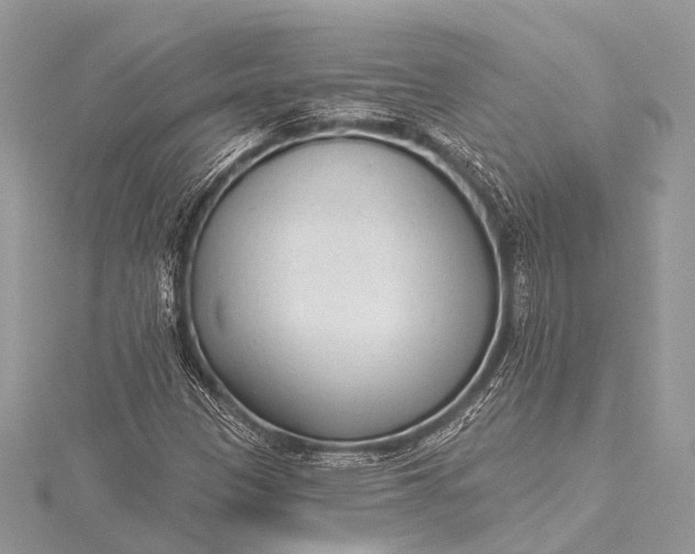 X0000115531305200911201711