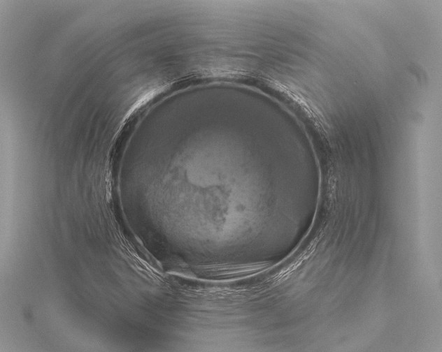 X0000115531306200911201711