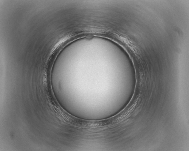 X0000115531307200911201711