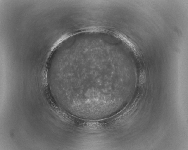 X0000115531310200911201711