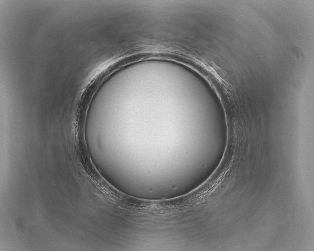 X0000115531311200911201711