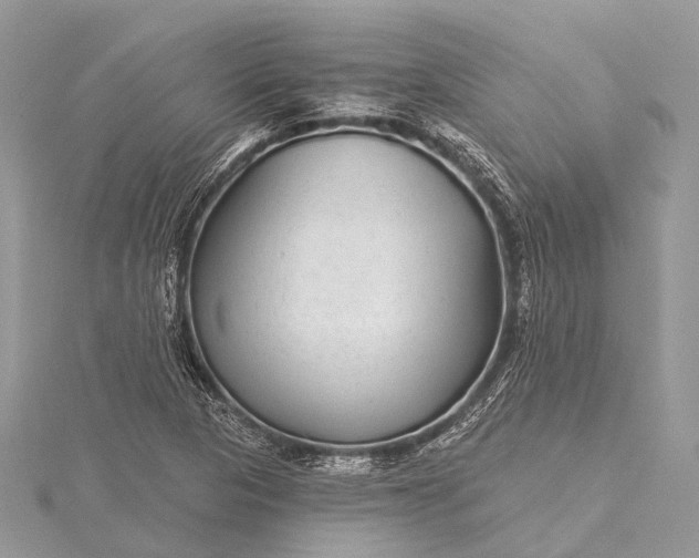 X0000115531313200911201711