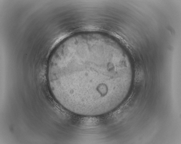 X0000115531314200911201711