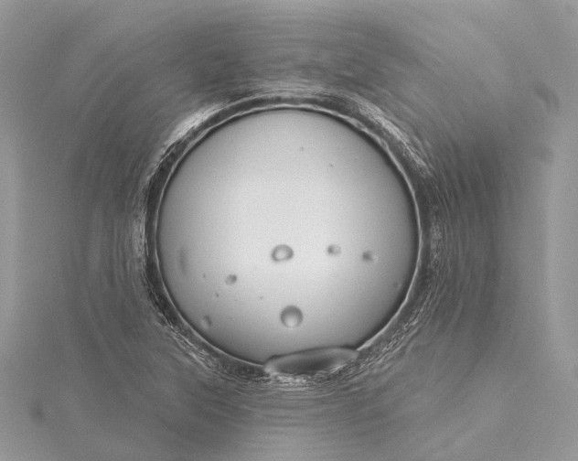 X0000115531315200911201711