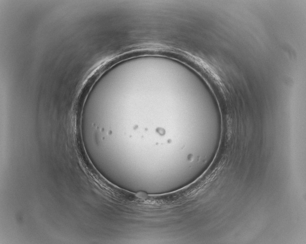 X0000115531318200911201711