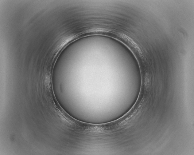 X0000115531321200911201711