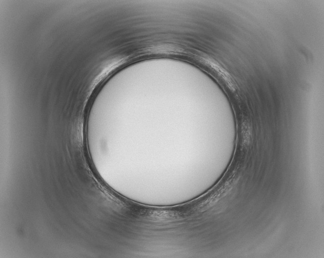 X0000115531322200911201711