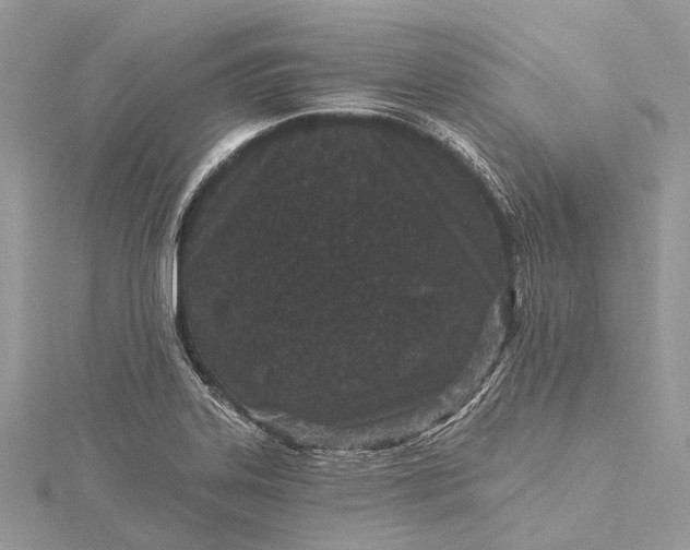 X0000115531323200911201711