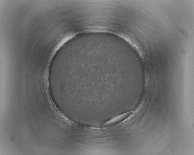 X0000115531325200911201711