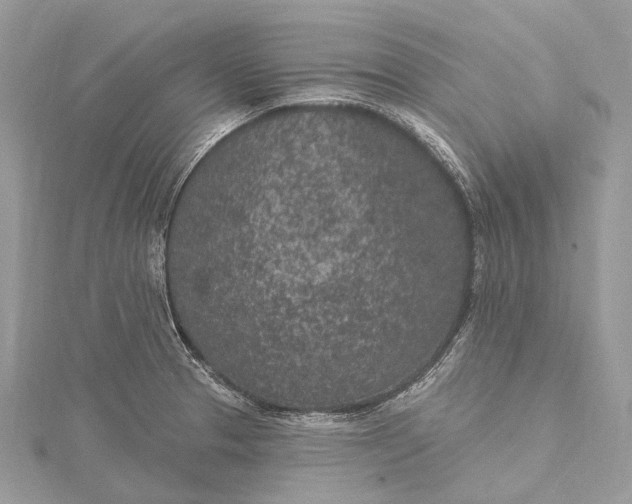 X0000115531329200911201711