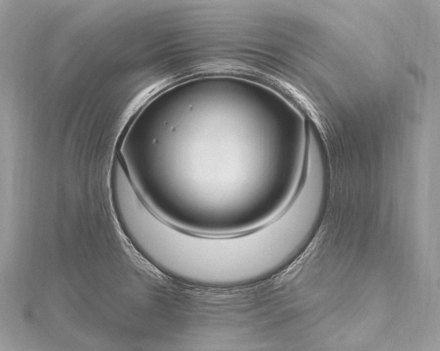 X0000115531330200911201711