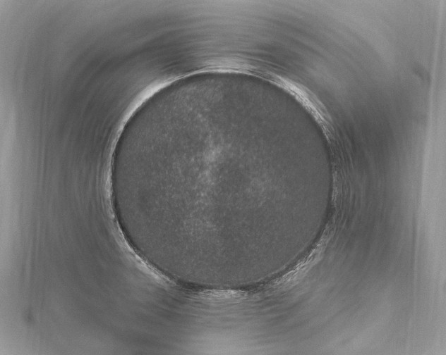 X0000115531331200911201711