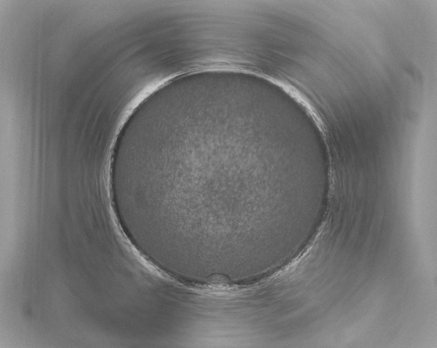 X0000115531333200911201711