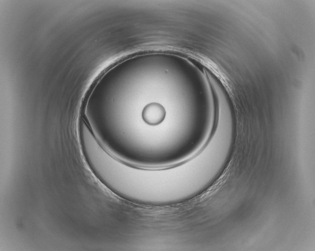 X0000115531334200911201711