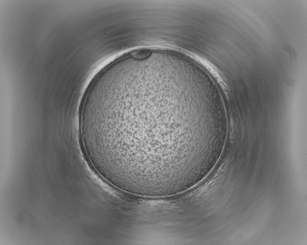 X0000115531335200911201711