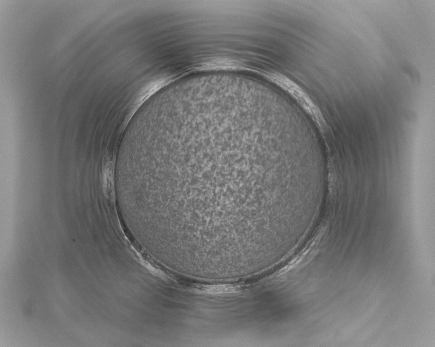 X0000115531337200911201711