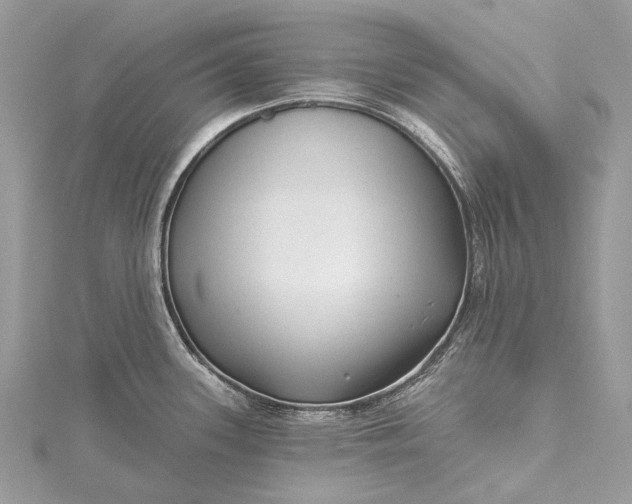 X0000115531339200911201711