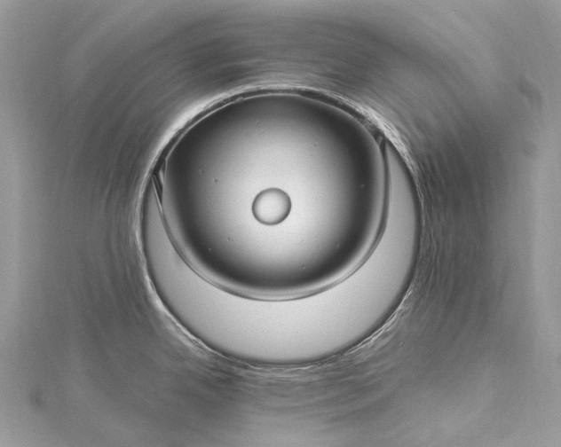 X0000115531342200911201711