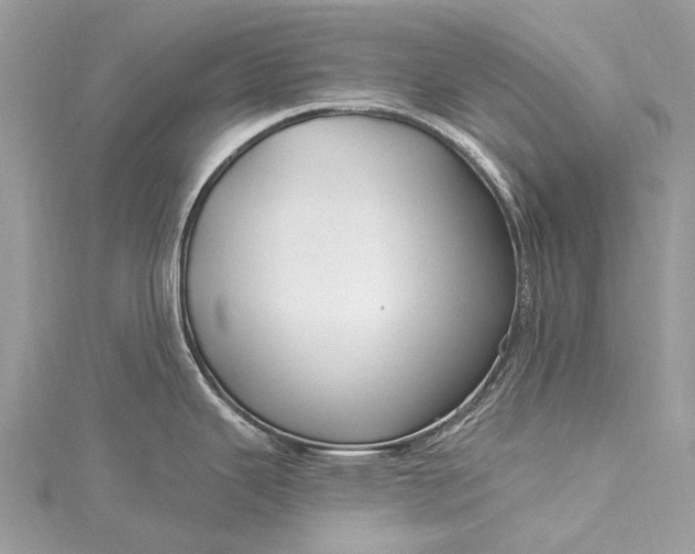 X0000115531343200911201712