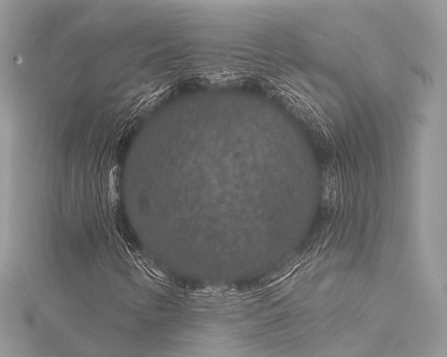 X0000115531346200911201711