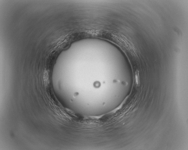 X0000115531347200911201711