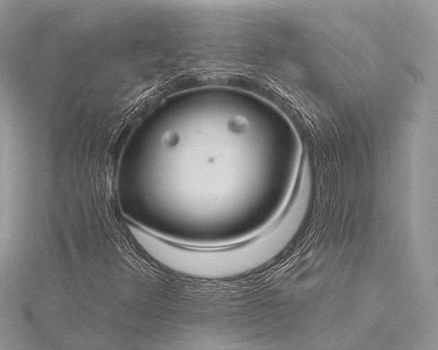 X0000115531348200911201711