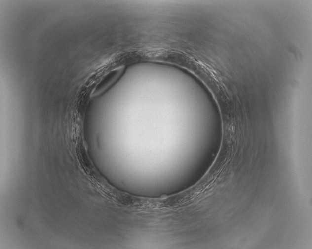 X0000115531349200911201711