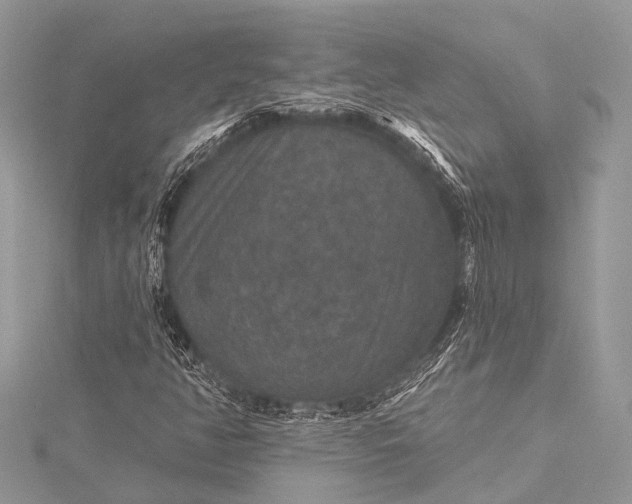 X0000115531350200911201711