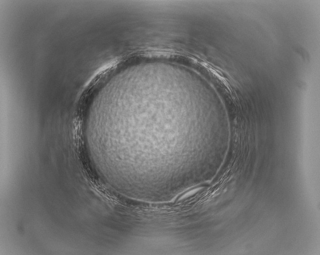 X0000115531351200911201711