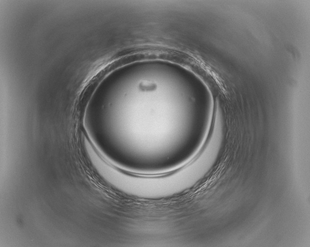 X0000115531352200911201711